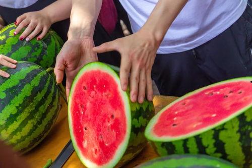 今日吃瓜全集完整版